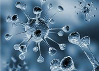 新宝GG体内体外药效试验顺遂通过药监局审查