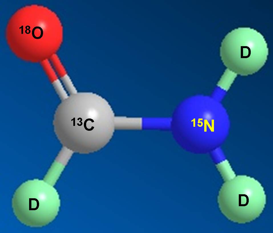 新宝GG科研职员受邀担当同位素手艺交流培训会讲师