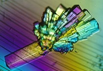 新宝GG副总裁金晓玮博士等一行出席了在上海举行的中国科学手艺大学校友会沙龙