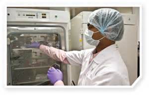 12月20日，，新宝GG与宣泰医药签署战略相助协议