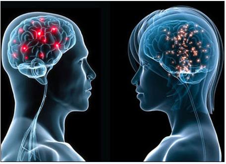 5月2号，，，，，医药经济报上揭晓了关于陈春麟博士的报道——CRO的中国式崛起路径