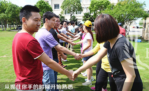 新宝GG—创立事业平台