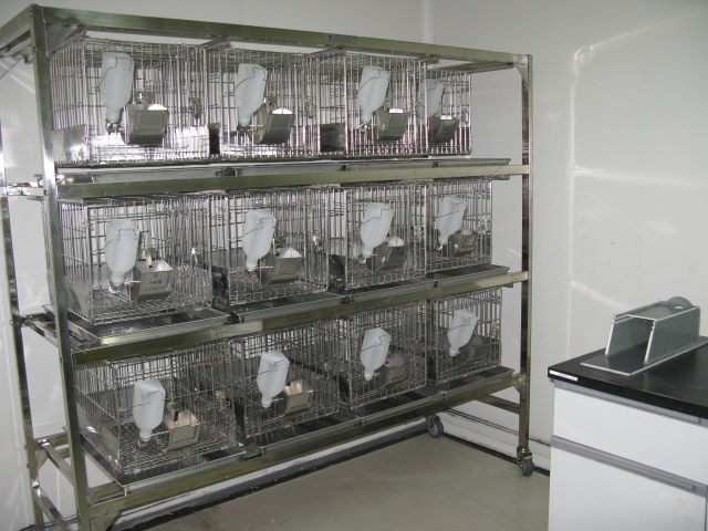 新宝GG普亚新动物房通过上海动管会验收