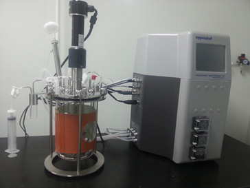 新宝GG的生物药（抗体）实验室即将投入使用