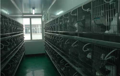 新宝GG实验动物房