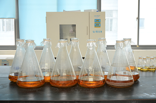 新宝GG制剂中心GMP中试车间完工