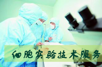 新宝GG细胞实验服务外包
