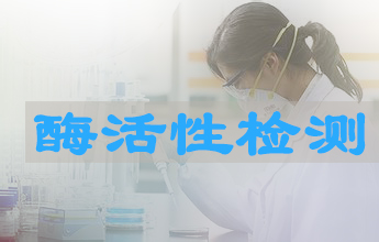 新宝GG酶活性测定服务