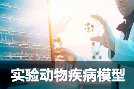 实验动物模子 实验动物模子