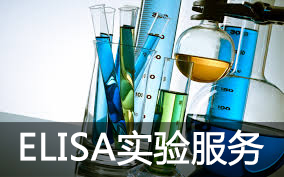 ELISA实验服务 — 酶联免疫吸附试验剖析