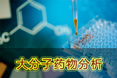新宝GG大分子药物剖析服务