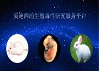 新宝GG的生殖毒性研究服务平台