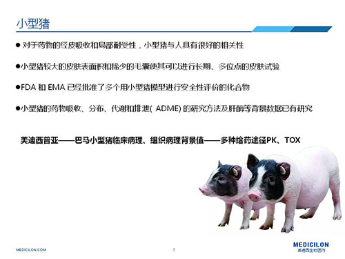 皮肤涂抹试验中，，，，受试动物选择小型猪更好