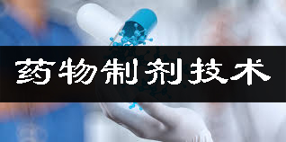 药物制剂手艺平台