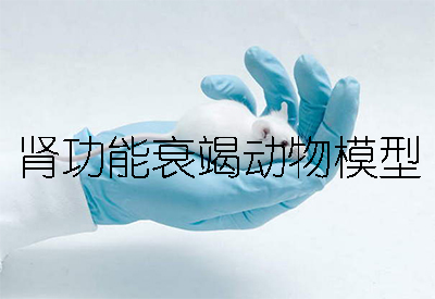 慢性肾功效衰竭(CRF)动物模子：物理/化学/生物三大造模要领详解