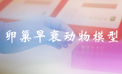 卵巢早衰动物模子 卵巢早衰动物模子
