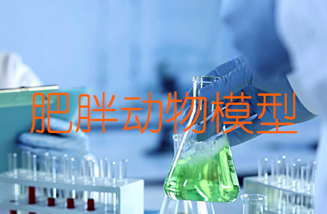 肥胖动物模子建设要领与造模手艺
