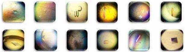 新宝GG—创立事业平台