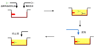 新宝GG—创立事业平台