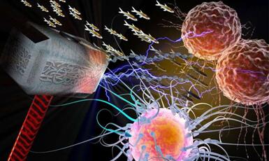 新宝GG—创立事业平台