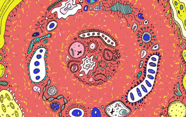 新宝GG—创立事业平台