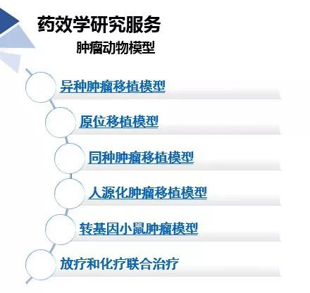 新宝GG药效学动物模子