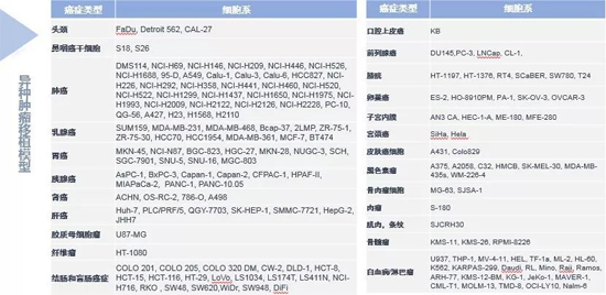 新宝GG药效学动物模子