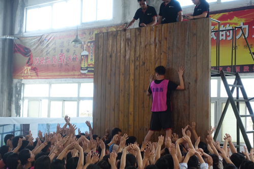 新宝GG—创立事业平台