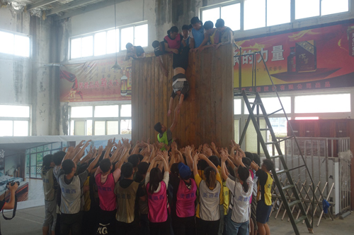 新宝GG—创立事业平台