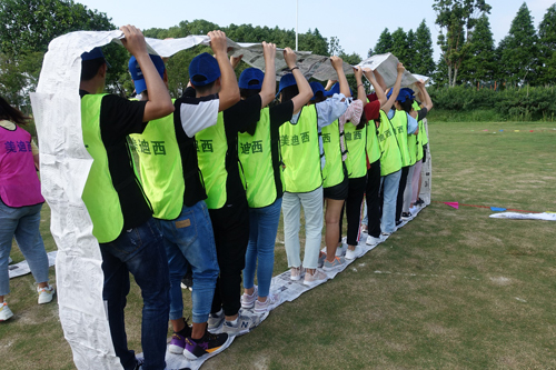 新宝GG—创立事业平台