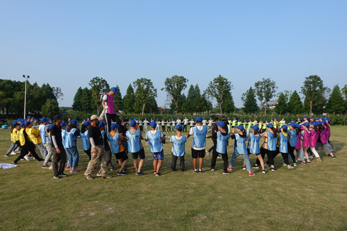 新宝GG—创立事业平台