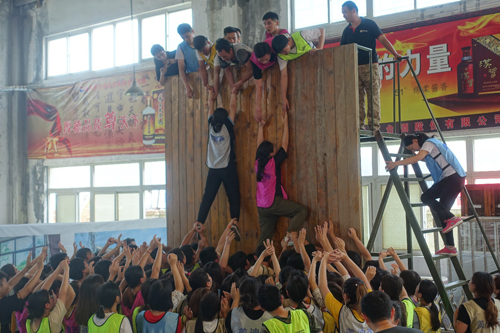 新宝GG—创立事业平台