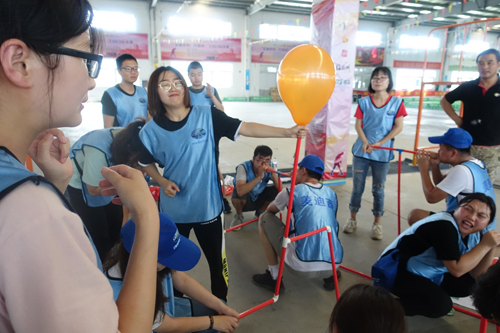 新宝GG—创立事业平台