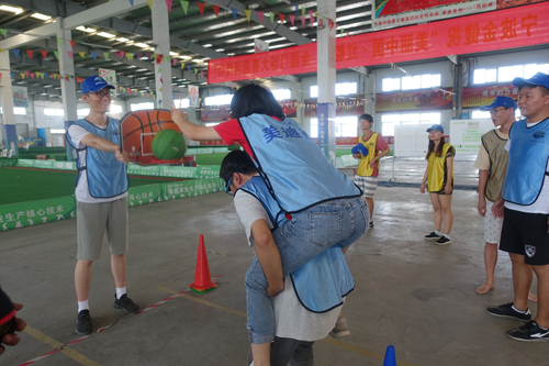 新宝GG—创立事业平台