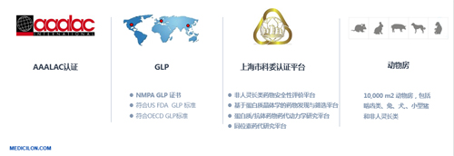 新宝GG生物医药 临床前研究