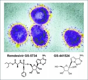基于细胞因子风暴和免疫炎症反映综合征，，许多免疫相关靶点也可以列为冠状病毒的靶点。。。。