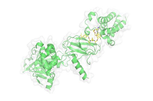 PROTAC手艺，，，马兴泉