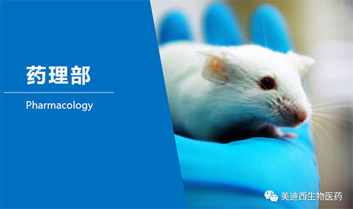 新宝GG药理部开发了肺癌、结肠癌、胃癌等12种PDX模子。。。。。。