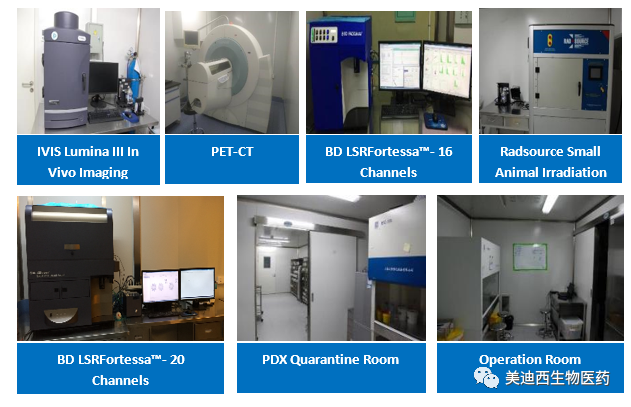 新宝GG药理部拥有IVIS Lumina III, PET-CT, BD LSRFortessa-16, Flow Cytometry等仪器，，提供切合申报，，支持临床试验的药效评价服务。。。。。。