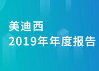 新宝GG2019年年度报告，，，业绩实现快速增添