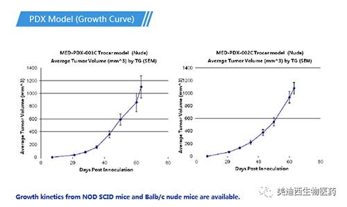 新宝GGPDX药效模子