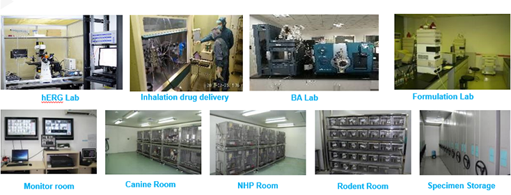 新宝GG毒理研究部装备