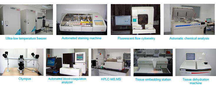 新宝GG毒理研究部装备