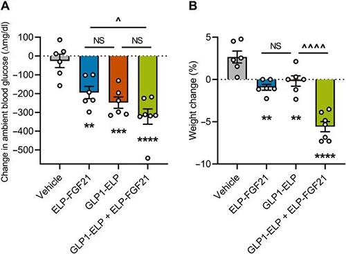 GLP-1和FGF21配合治疗增强了单药治疗的血糖降低和体重增添抑制作用 新宝GG