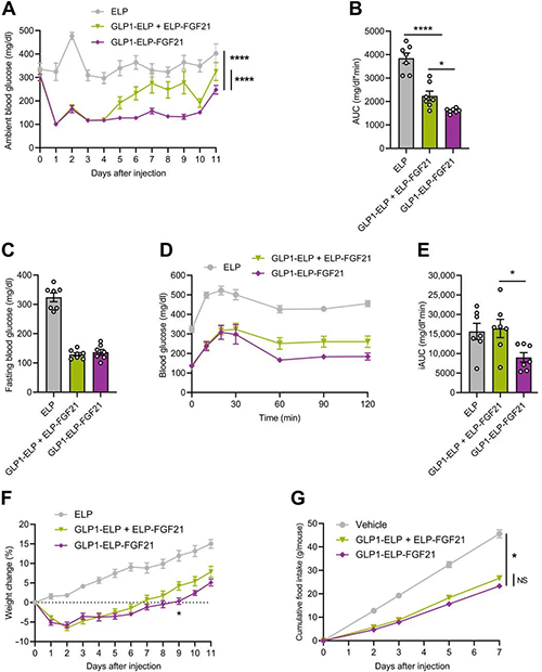 GLP1-ELP-FGF21双激动剂形式在治疗上优于GLP-1 / FGF21单激动剂混淆物 新宝GG