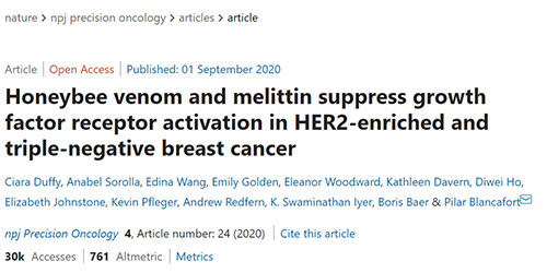 攻克三阴性乳腺癌，，，，蜜蜂毒液竟是要害？？？