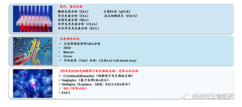 新宝GG生物手艺药物剖析部服务内容