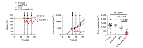 与比照组及仅使用PD-1疗法的模子小鼠比照，，，，，，接纳短期饥饿配合PD-1疗法的393P细胞同源移植肿瘤小鼠体内的肿瘤体积有了显着的缩短。。。。