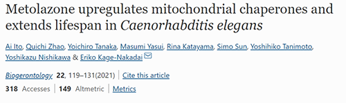 来自日本大阪市立大学的科学家搜索了现有药物的化学“文库”，，，，，他们发明一种名为美托拉宗的抗高血压药可延伸秀丽隐杆线虫的寿命，，，，，标记着抗朽迈药物开发的第一步
