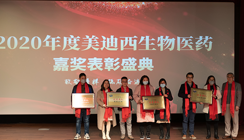 新宝GG2020年度优异团队奖